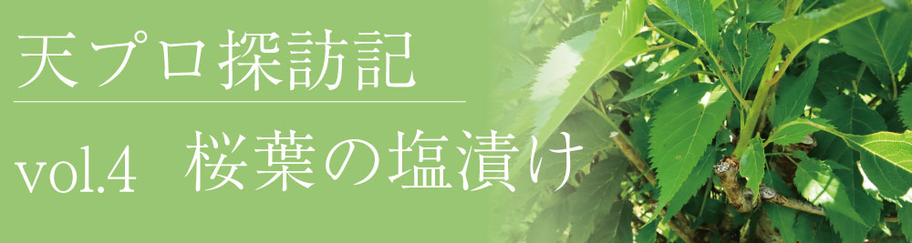 吉野本葛の老舗 奈良 井上天極堂の公式サイト